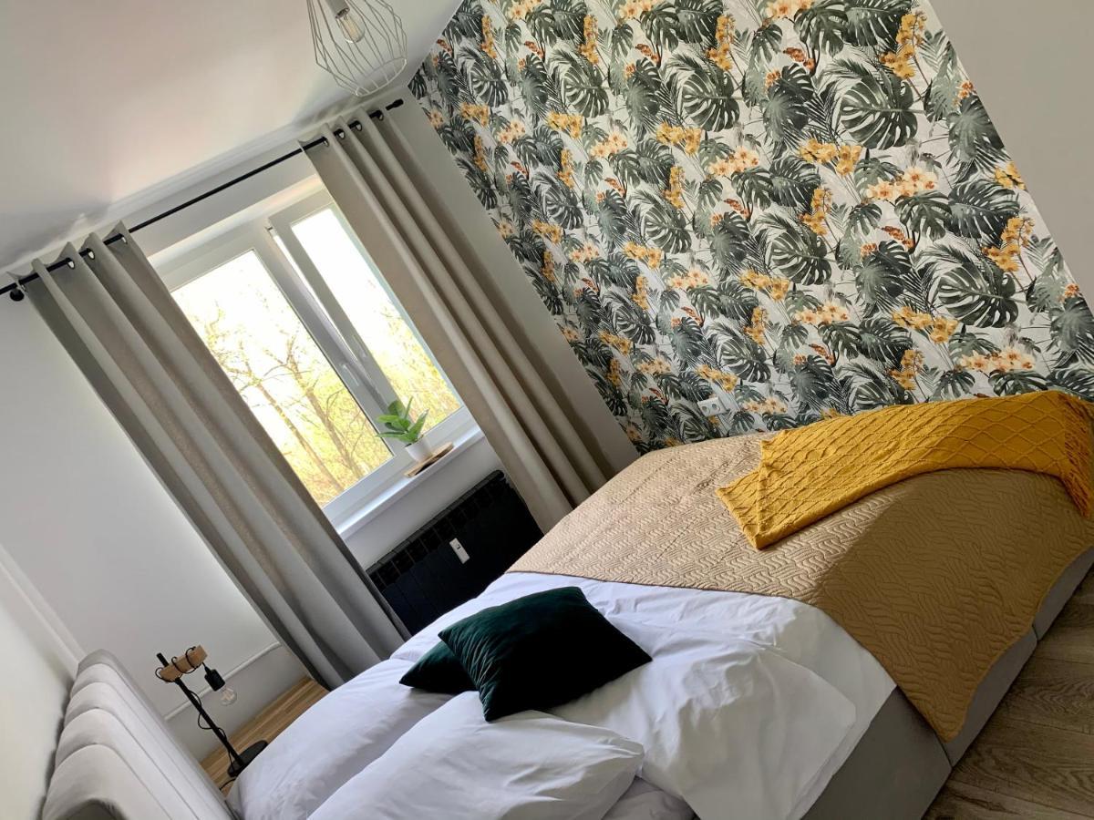 Apartament Forest Green Świeradów-Zdrój Εξωτερικό φωτογραφία