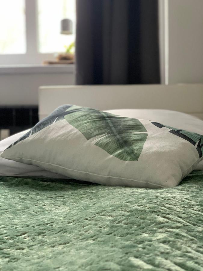 Apartament Forest Green Świeradów-Zdrój Εξωτερικό φωτογραφία