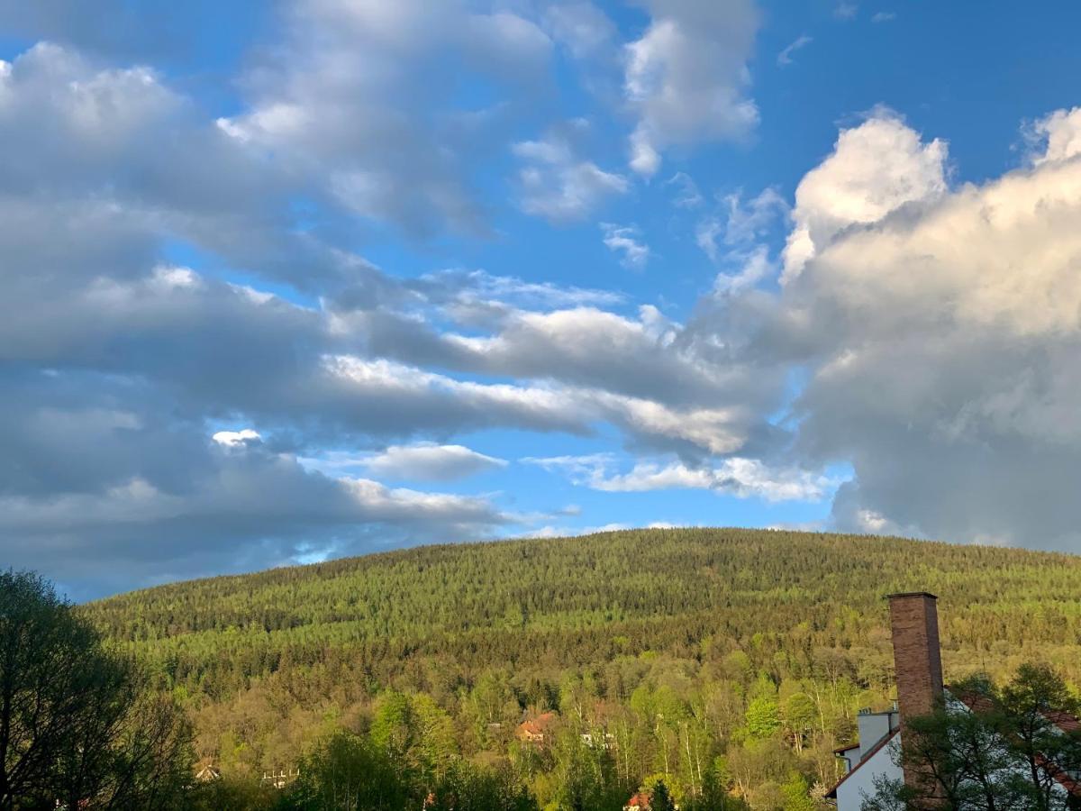 Apartament Forest Green Świeradów-Zdrój Εξωτερικό φωτογραφία